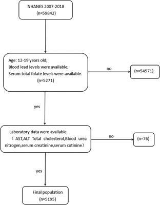 Association between serum folate concentrations and blood lead levels in adolescents: A cross-sectional study